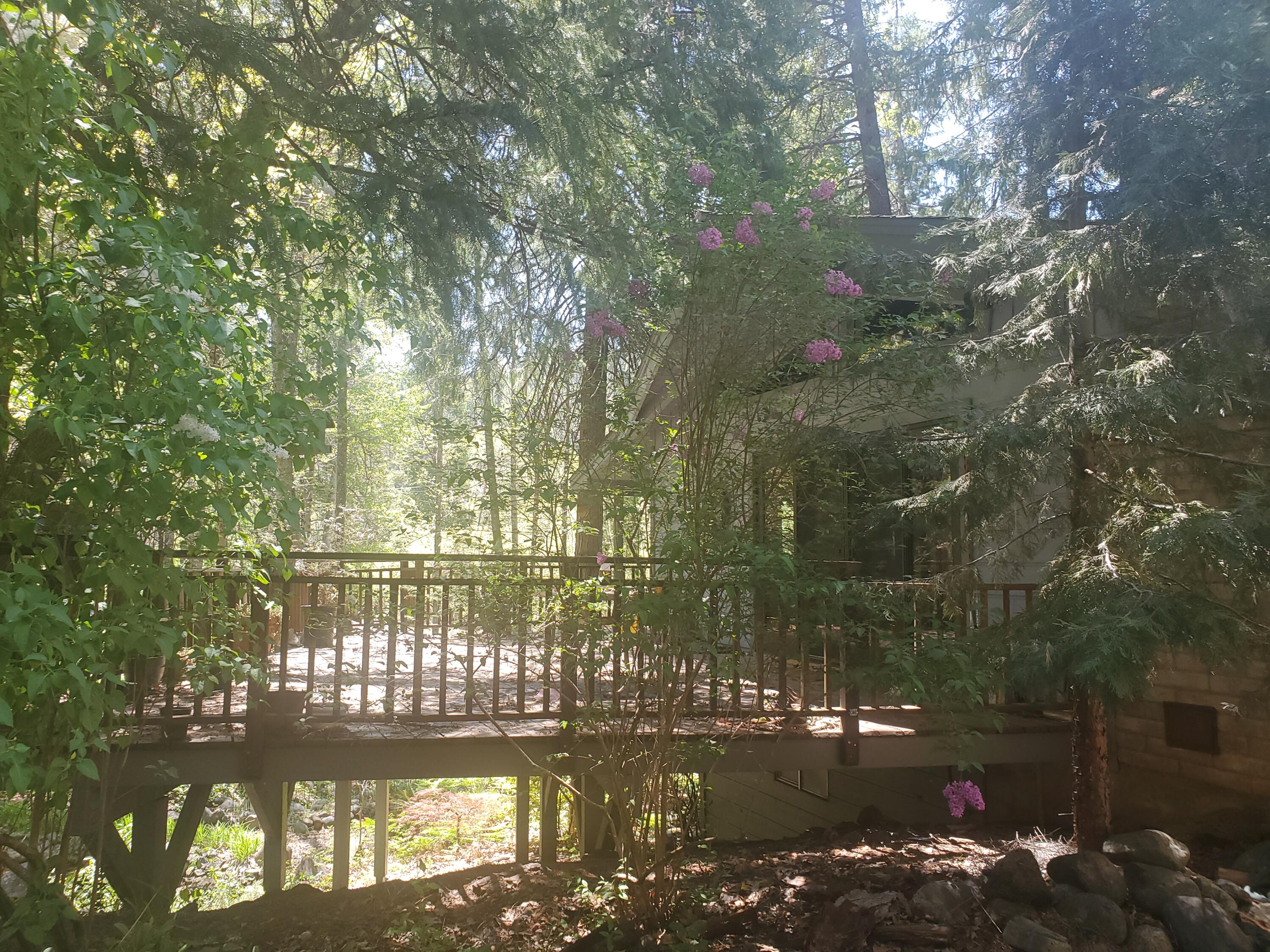 140 Coffee Creek Road Trinity Center, CA 96091 - Photo 7 of 31 large deck