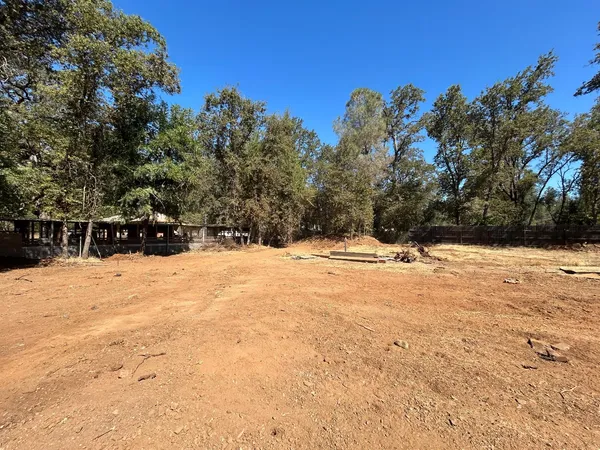 a view of a yard with trees