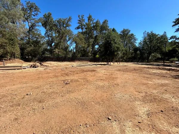 a view of a yard with plants and trees