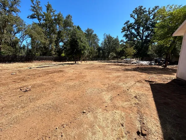 a view of backyard with large trees
