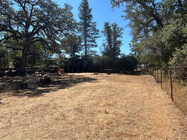 a view of a yard with large tree