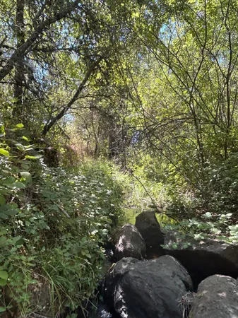a living room with furniture and large windows