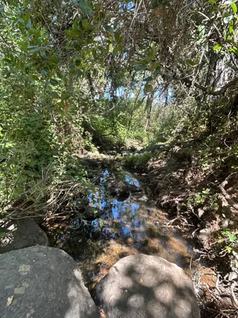 a utility room with a sink a washer and dryer
