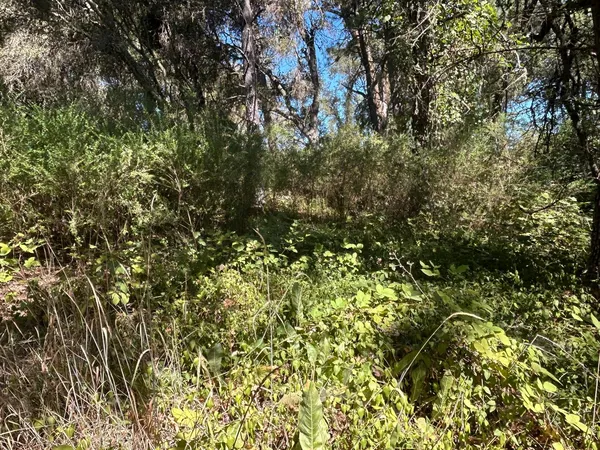 an empty room with closet and windows