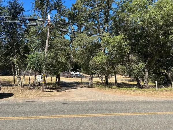 a view of a yard with trees