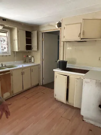 a view of a tree in a yard