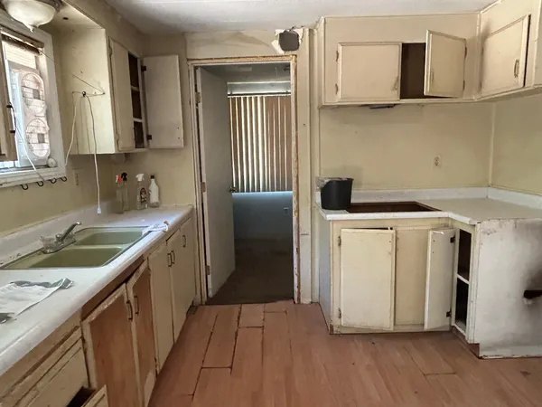 a view of a tree with a tree