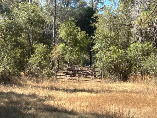 $289,900 | 9153 Manzanita Lane, Oregon House, CA 95962