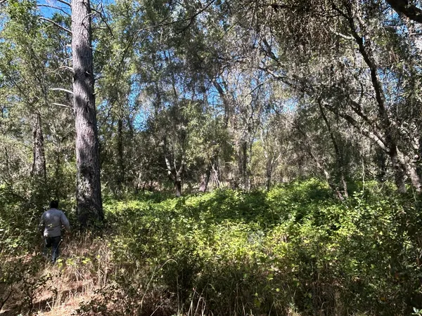 $289,900 | 9153 Manzanita Lane, Oregon House, CA 95962