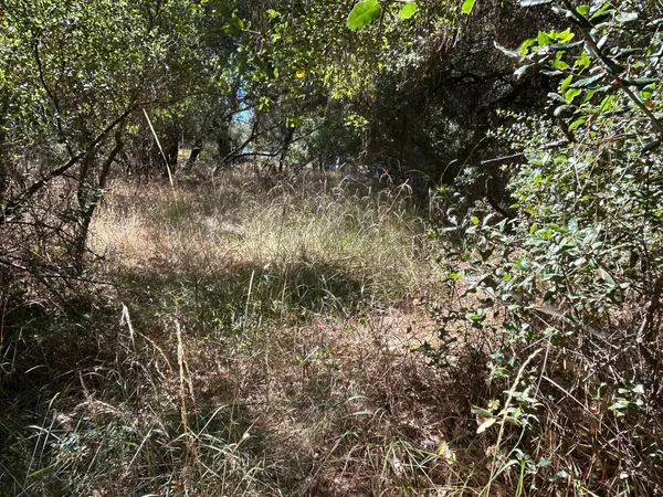 $289,900 | 9153 Manzanita Lane, Oregon House, CA 95962