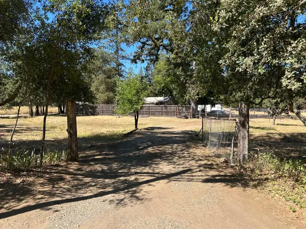 a view of a yard with a tree