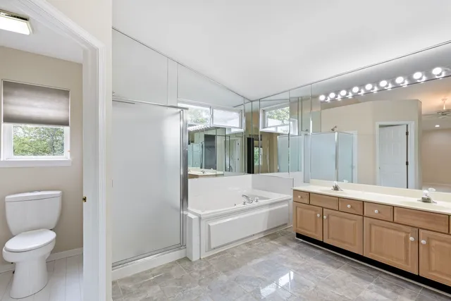 a bathroom with a double vanity sink a toilet a mirror and shower
