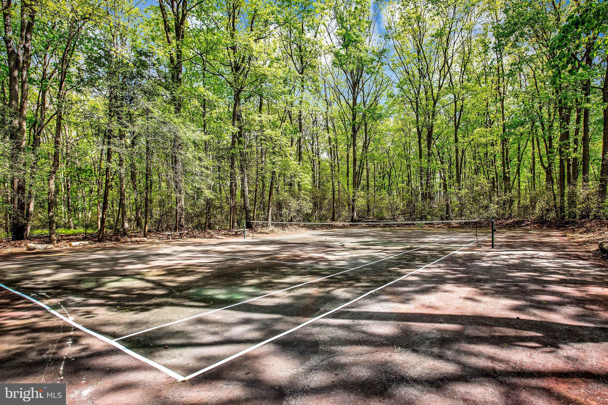374 Ferrell Road Mullica Hill, NJ 08062 - Photo 50 of 64