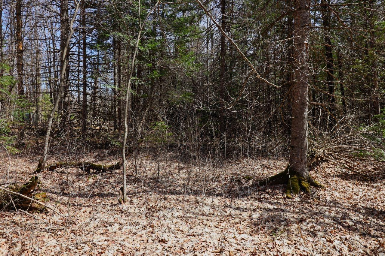 Lot2-off Lot2-off Gerry Road Hurley, WI 54534 - Photo 7 of 20 Gallery Image 7