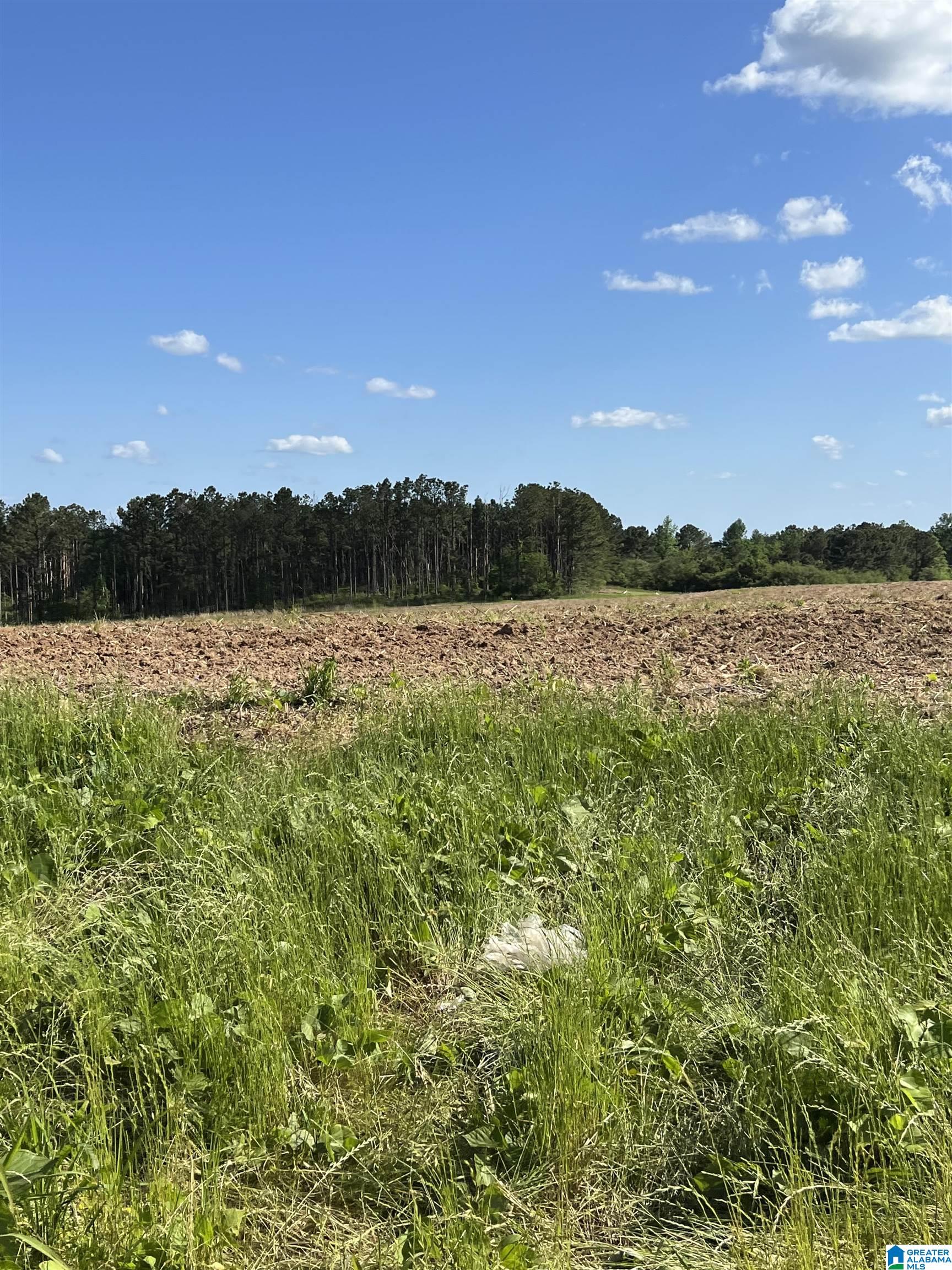 0 County Road 356 Clanton, AL 35045 - Photo 4 of 5