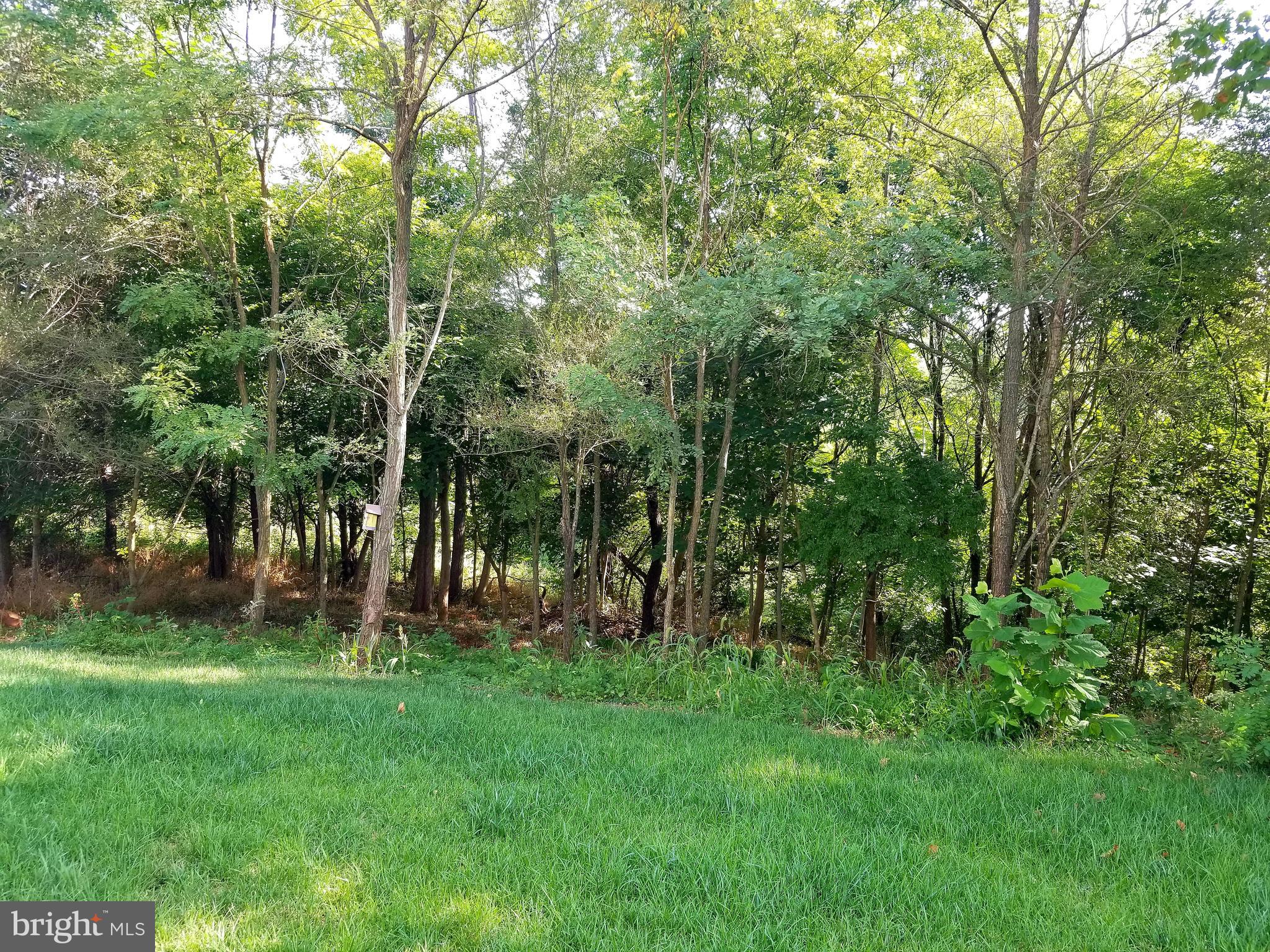 714 Saddlebrook Road Culpeper, VA 22701 - Photo 96 of 101 Gallery Image 96