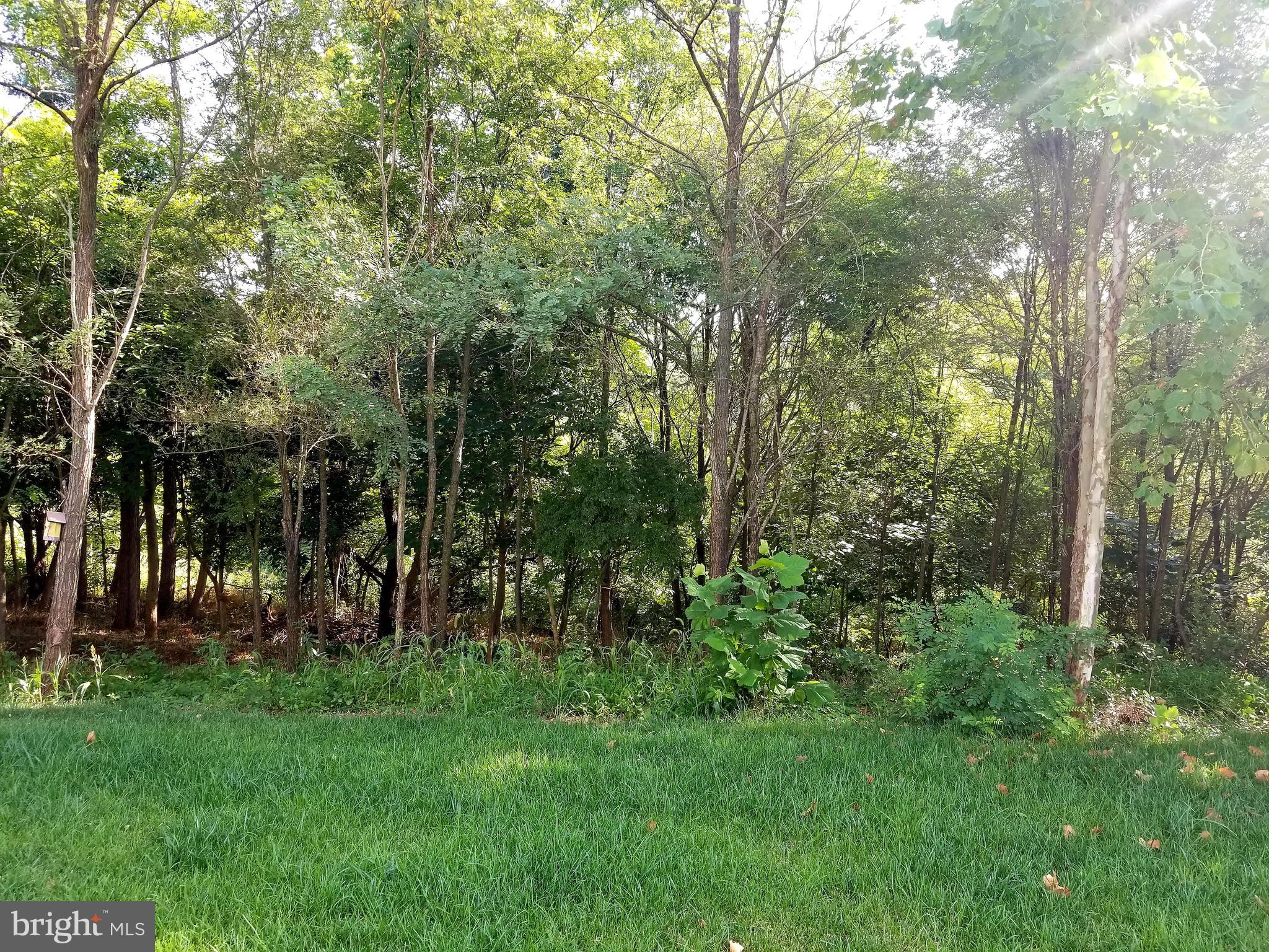 714 Saddlebrook Road Culpeper, VA 22701 - Photo 97 of 101 Gallery Image 97