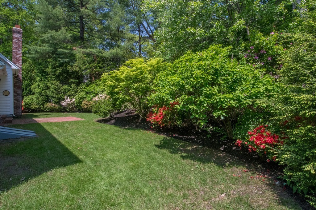 46 Holmes Street Needham, MA 02492 - Photo 21 of 21