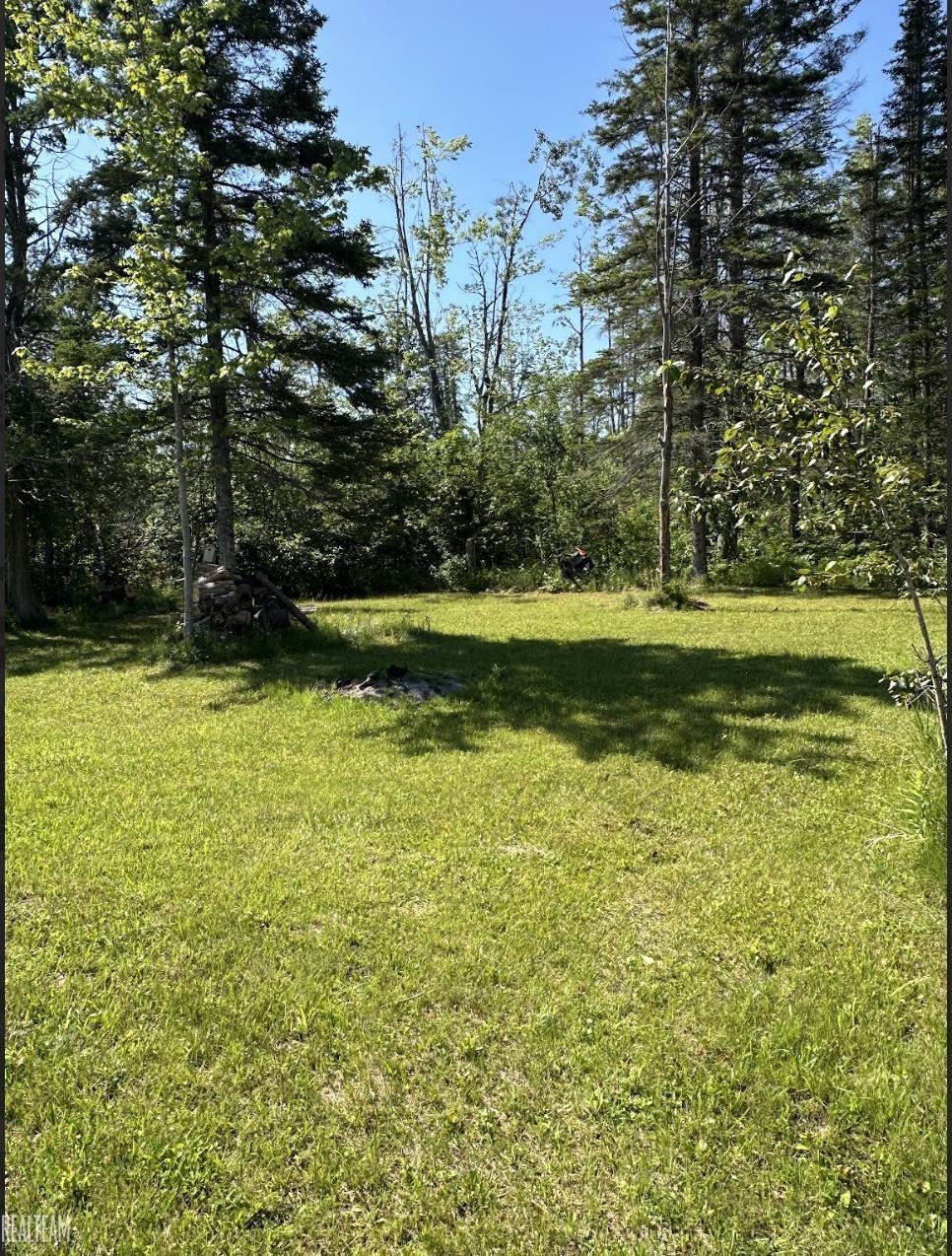 16865 Grace Harbor Road Millersburg, MI 49759 - Photo 5 of 35