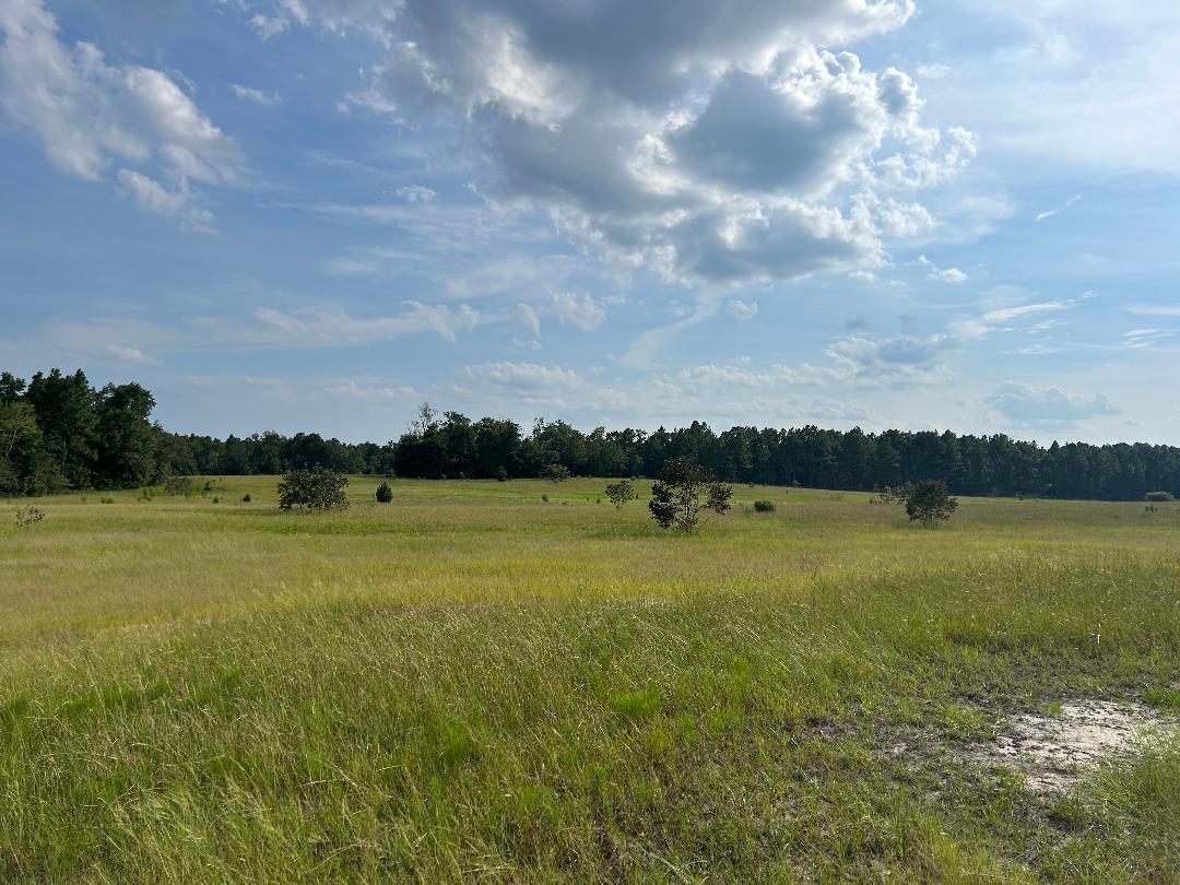 0 Good Springs Road Aiken, SC 29801 - Photo 4 of 6 Gallery Image 4