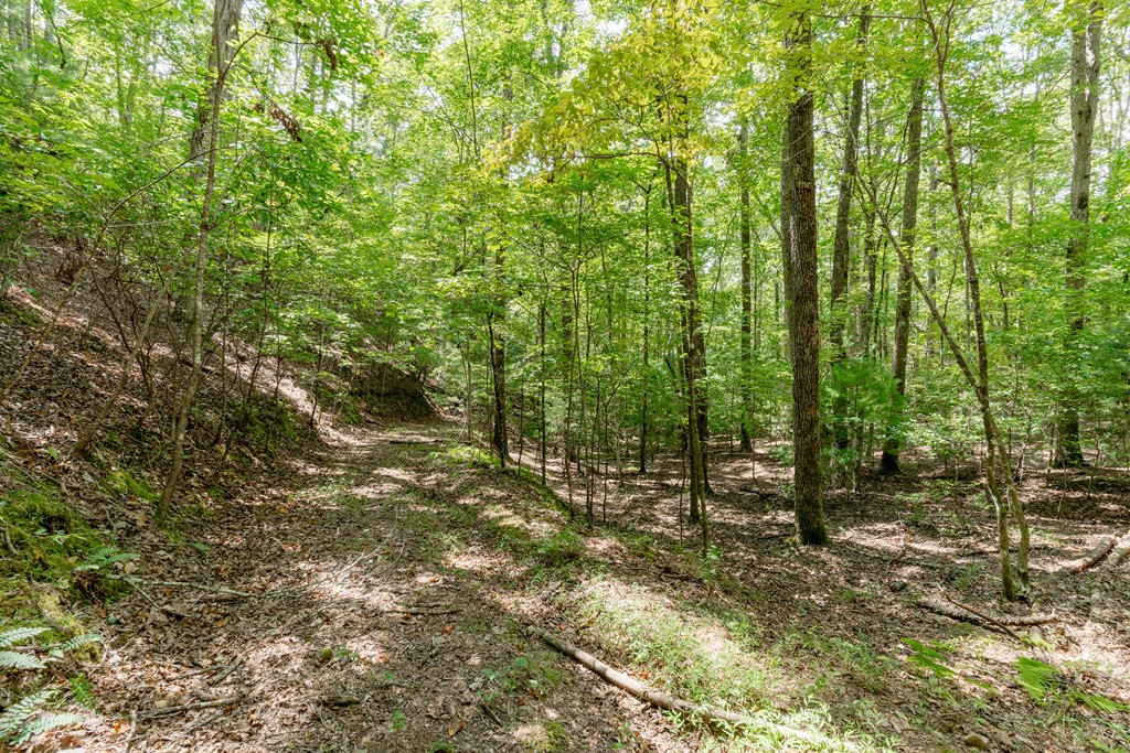 Tbd Waldroup Road Hayesville, NC 28904 - Photo 3 of 16 Gallery Image 3