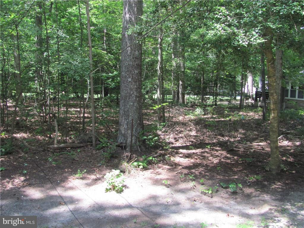 22263 Camp Arrowhead Road Lewes, DE 19958 - Photo 12 of 13 Gallery Image 12