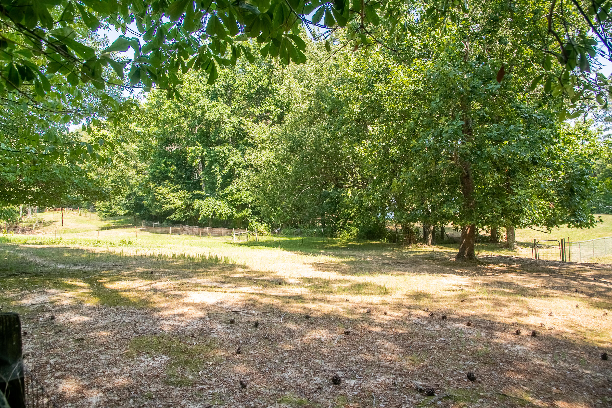 814 Friendship Road Chickamauga, GA 30707 - Photo 43 of 47 Friendship-28