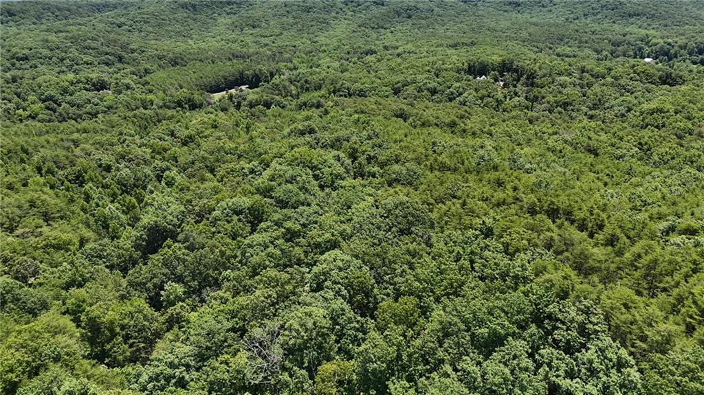 587 East Valley Road Northeast Rydal, GA 30171 - Photo 6 of 18