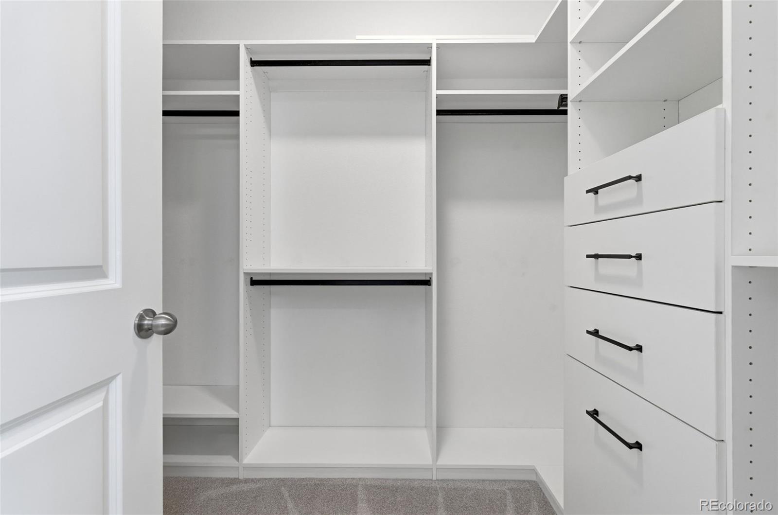 8283 South Queen Street Littleton, CO 80127 - Photo 26 of 46 a view of walk in closet