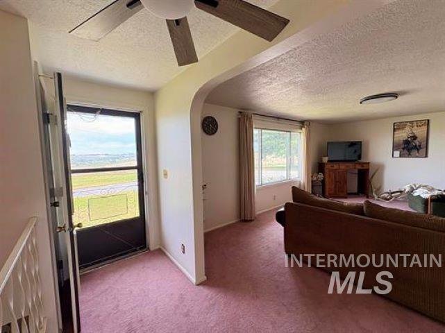 3197 Neeley Road American Falls, ID 83211 - Photo 14 of 45 Entryway with a glass-paneled storm door, a ceiling fan with integrated lighting, and plush pink carpeting