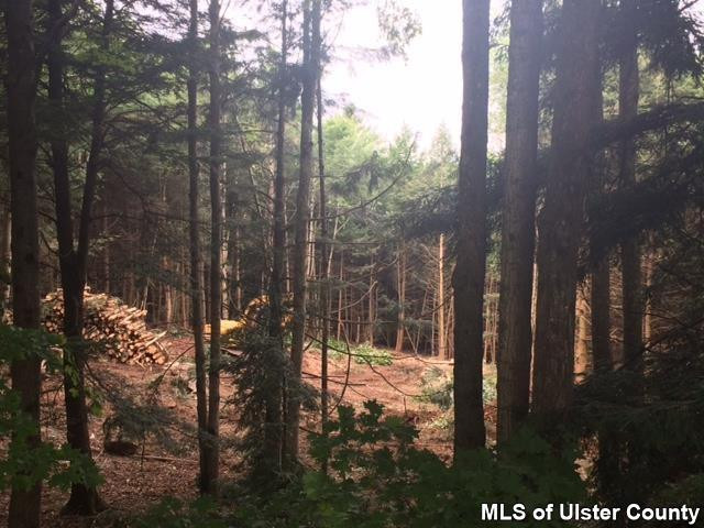 3 Dusty Road Windham, NY 12496 - Photo 15 of 19 Photo 15