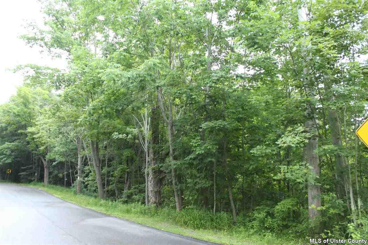 3 Dusty Road Windham, NY 12496 - Photo 18 of 19 Photo 18