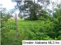 Tannehill Parkway McCalla, AL 35111 - Photo 1 of 1