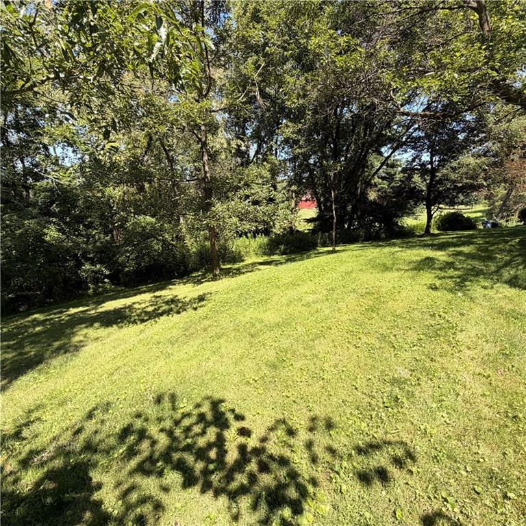 555 Bradys Ridge Road Beaver, PA 15009 - Photo 26 of 28 Yard