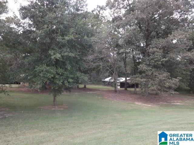435 Wow Road, Unit 59 Blountsville, AL 35031 - Photo 30 of 49