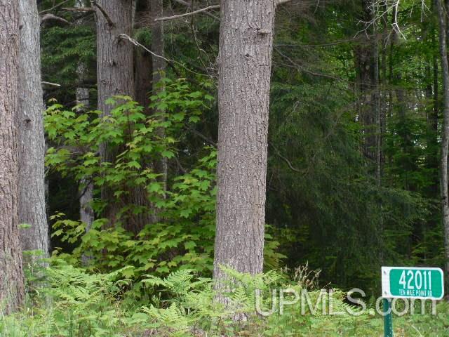 42011 Ten Mile Point Road Ontonagon, MI 49953 - Photo 4 of 20