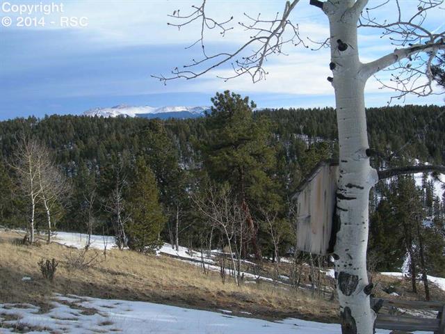 483 Charming View Divide, CO 80814 - Photo 11 of 13 Gallery Image 11