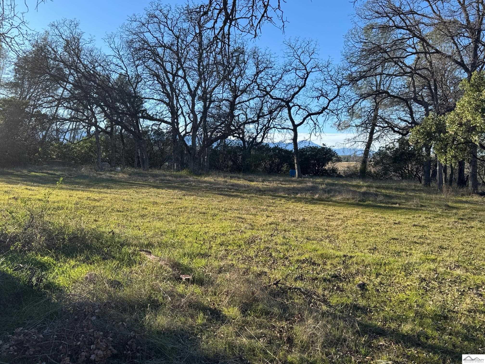 16240 Rancho Tehama Road Corning, CA 96021 - Photo 2 of 19