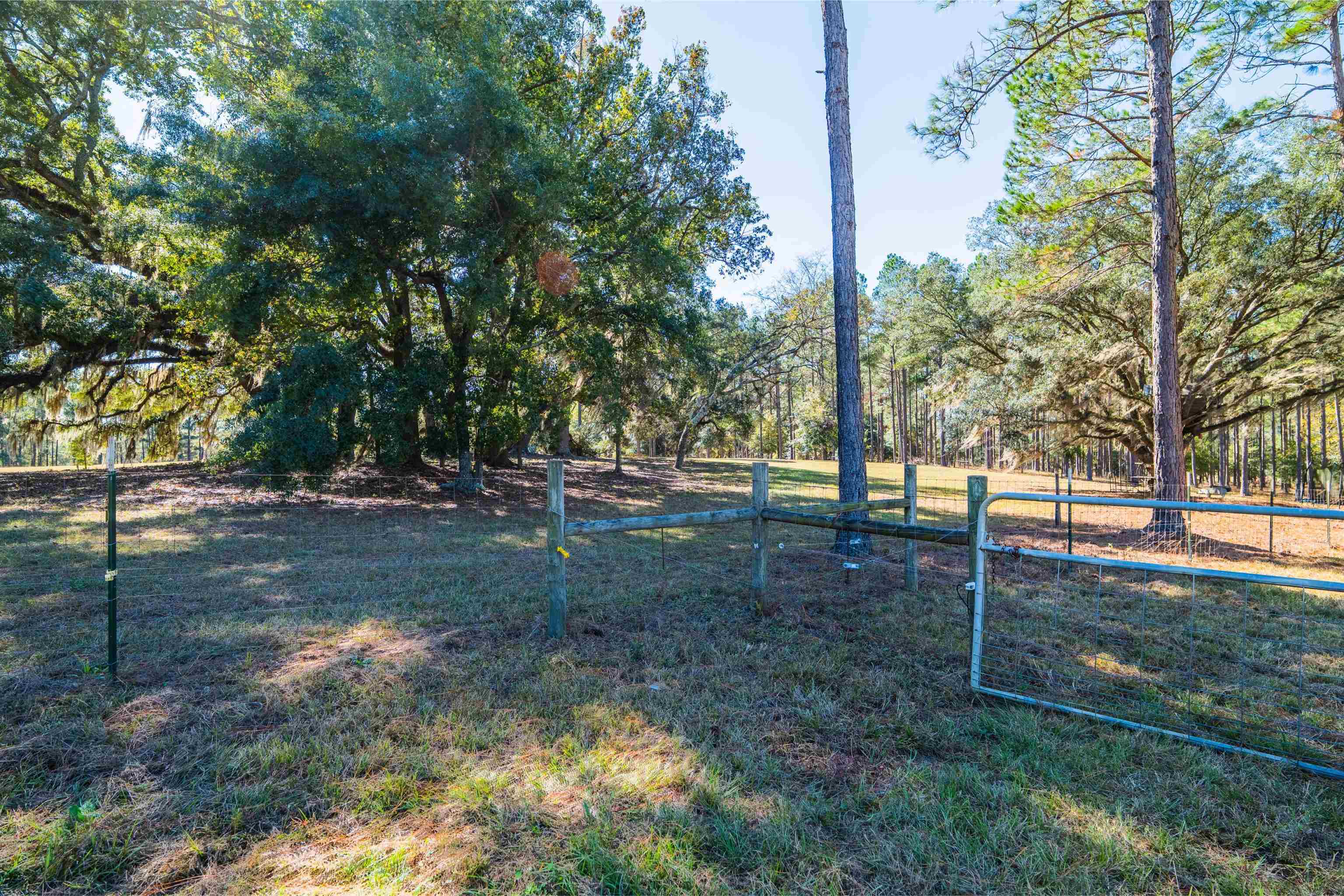 9283 Tallokas Road Pavo, GA 31778 - Photo 37 of 70