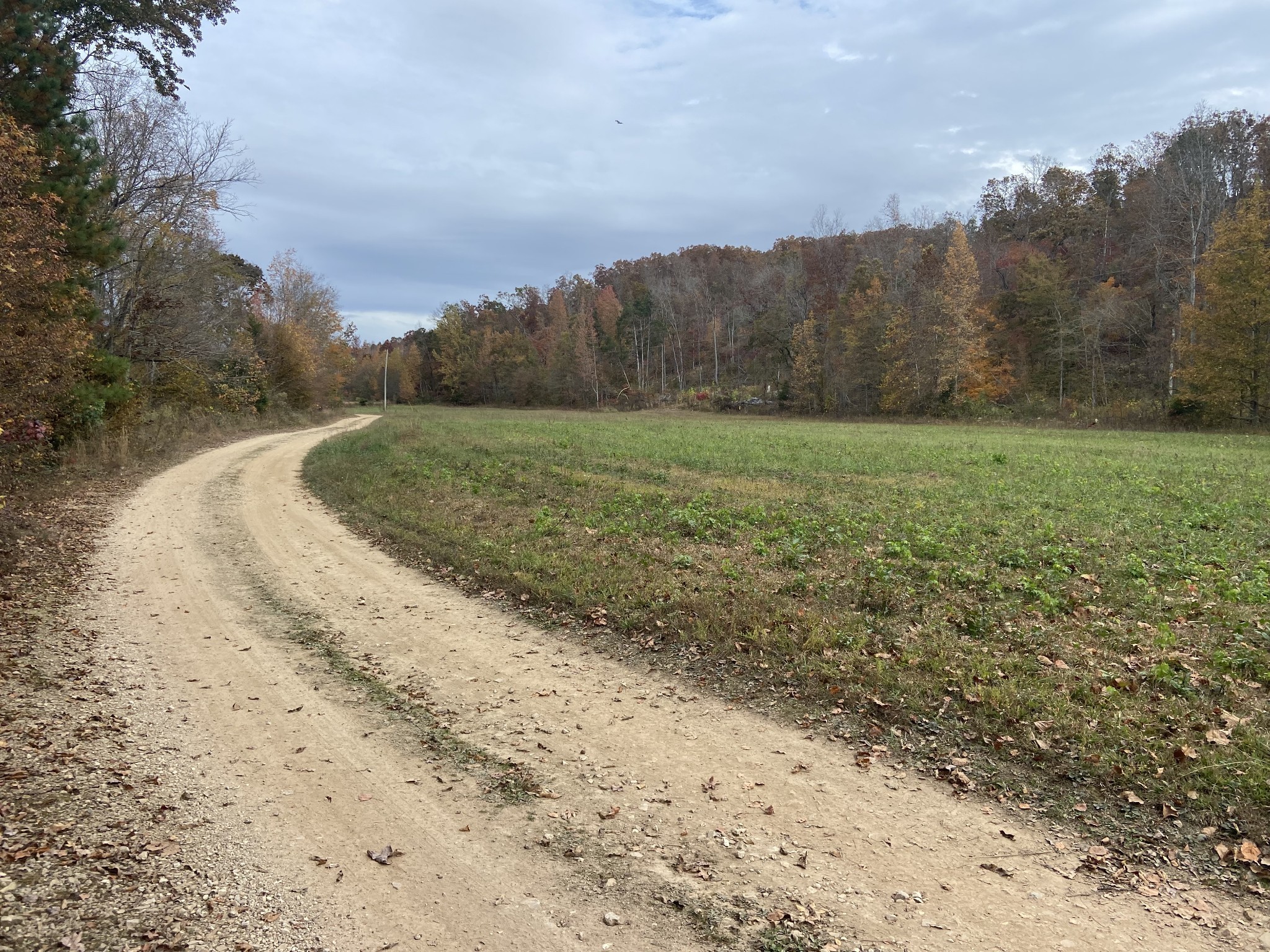 0 McCord Hollow Road Hohenwald, TN 38462 - Photo 11 of 33 Gallery Image 11