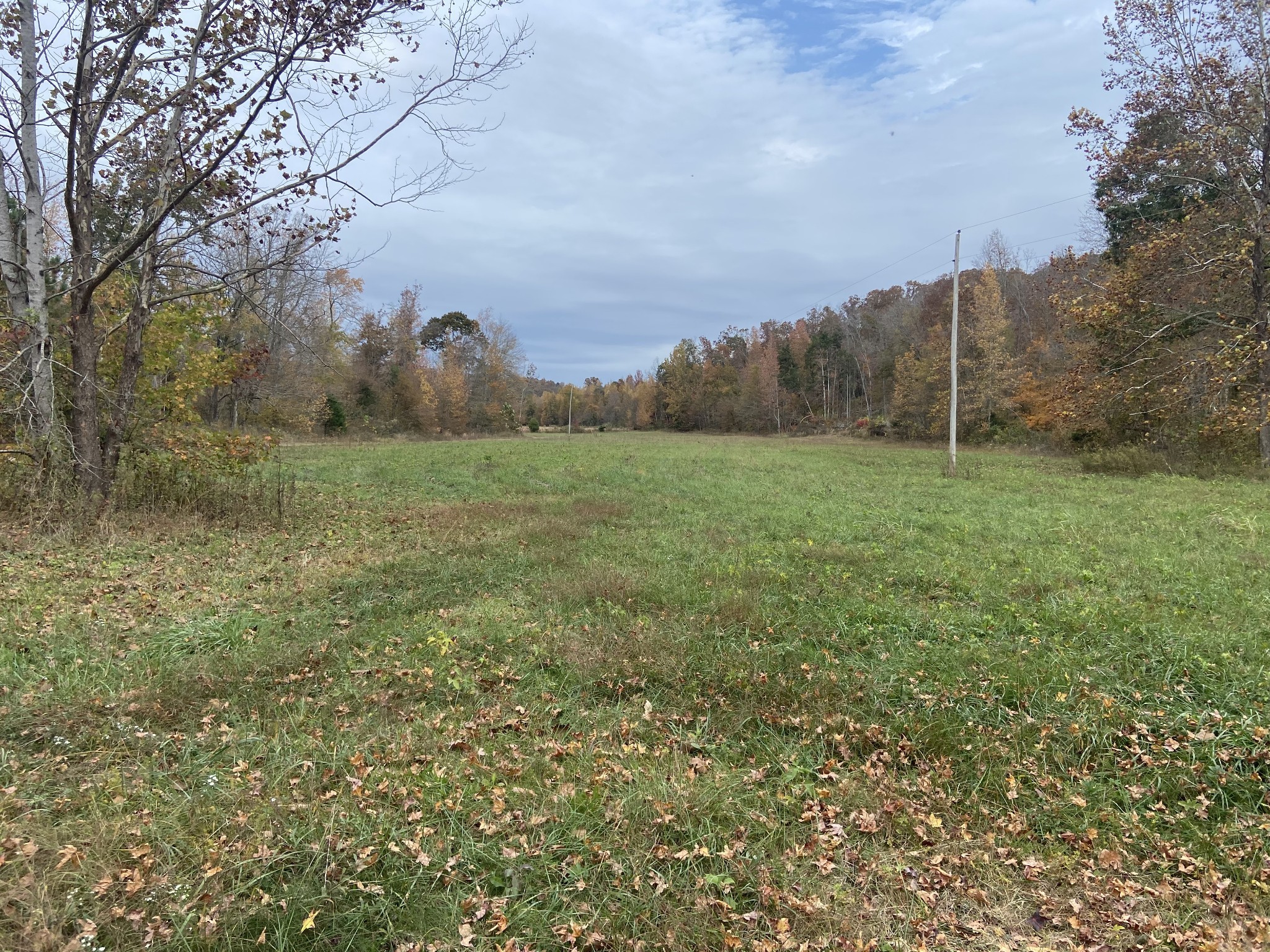 0 McCord Hollow Road Hohenwald, TN 38462 - Photo 13 of 33 Gallery Image 13