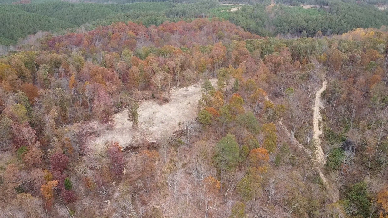 0 McCord Hollow Road Hohenwald, TN 38462 - Photo 14 of 33 Gallery Image 14