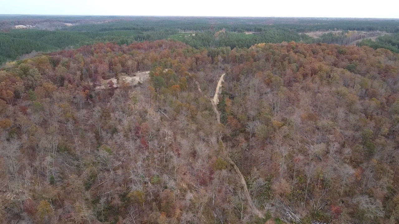 0 McCord Hollow Road Hohenwald, TN 38462 - Photo 15 of 33 Gallery Image 15