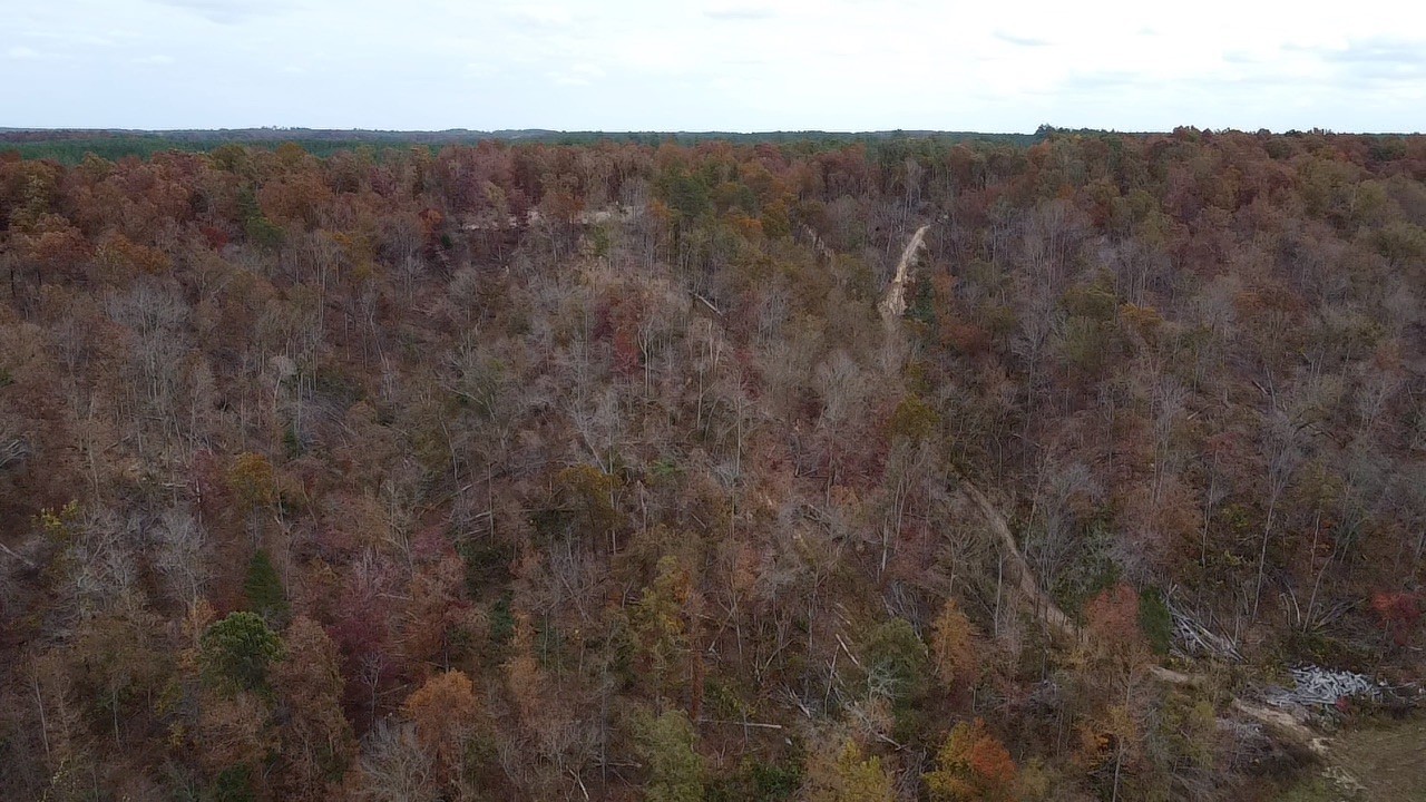 0 McCord Hollow Road Hohenwald, TN 38462 - Photo 16 of 33 Gallery Image 16