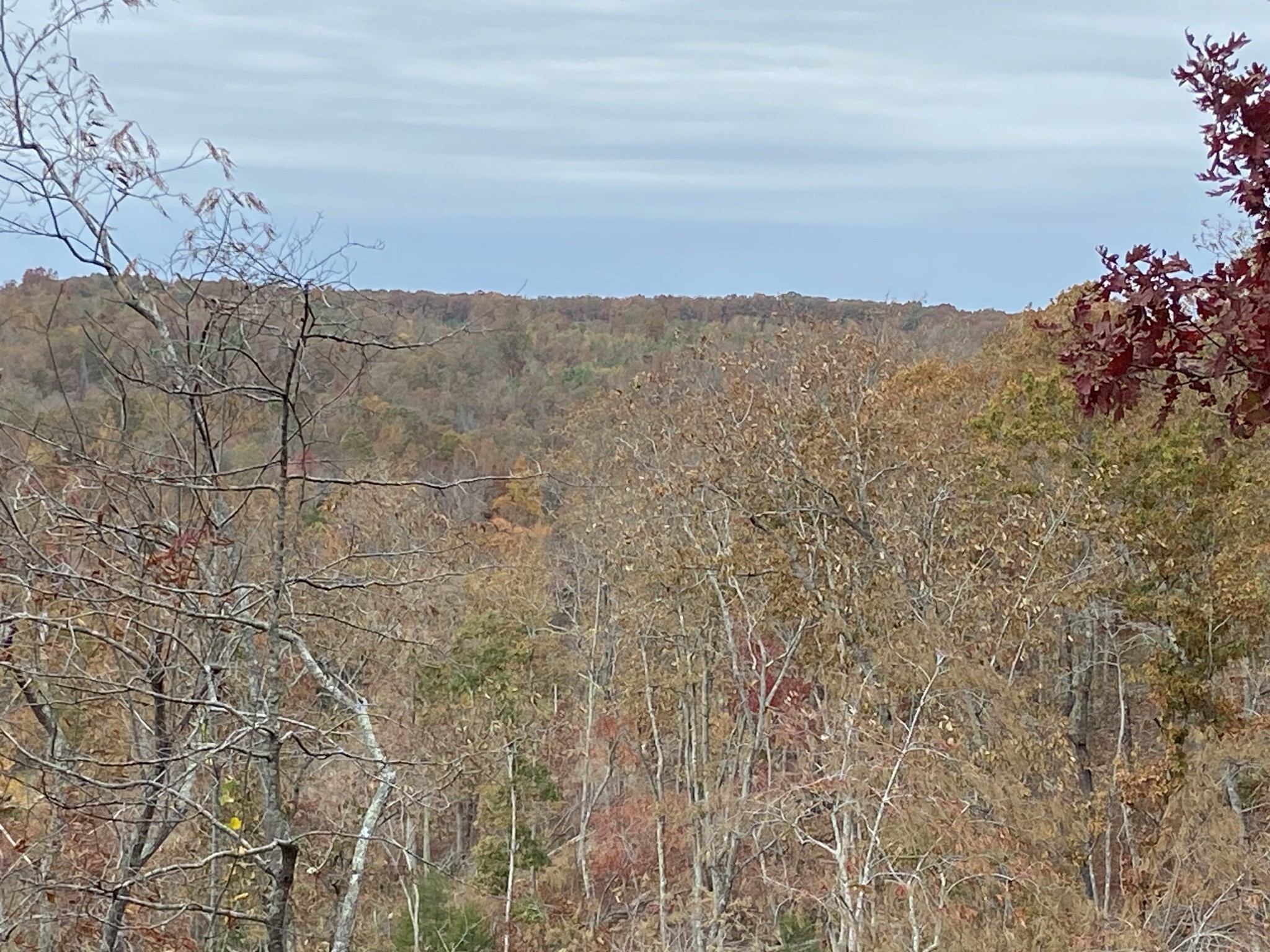 0 McCord Hollow Road Hohenwald, TN 38462 - Photo 19 of 33 Gallery Image 19