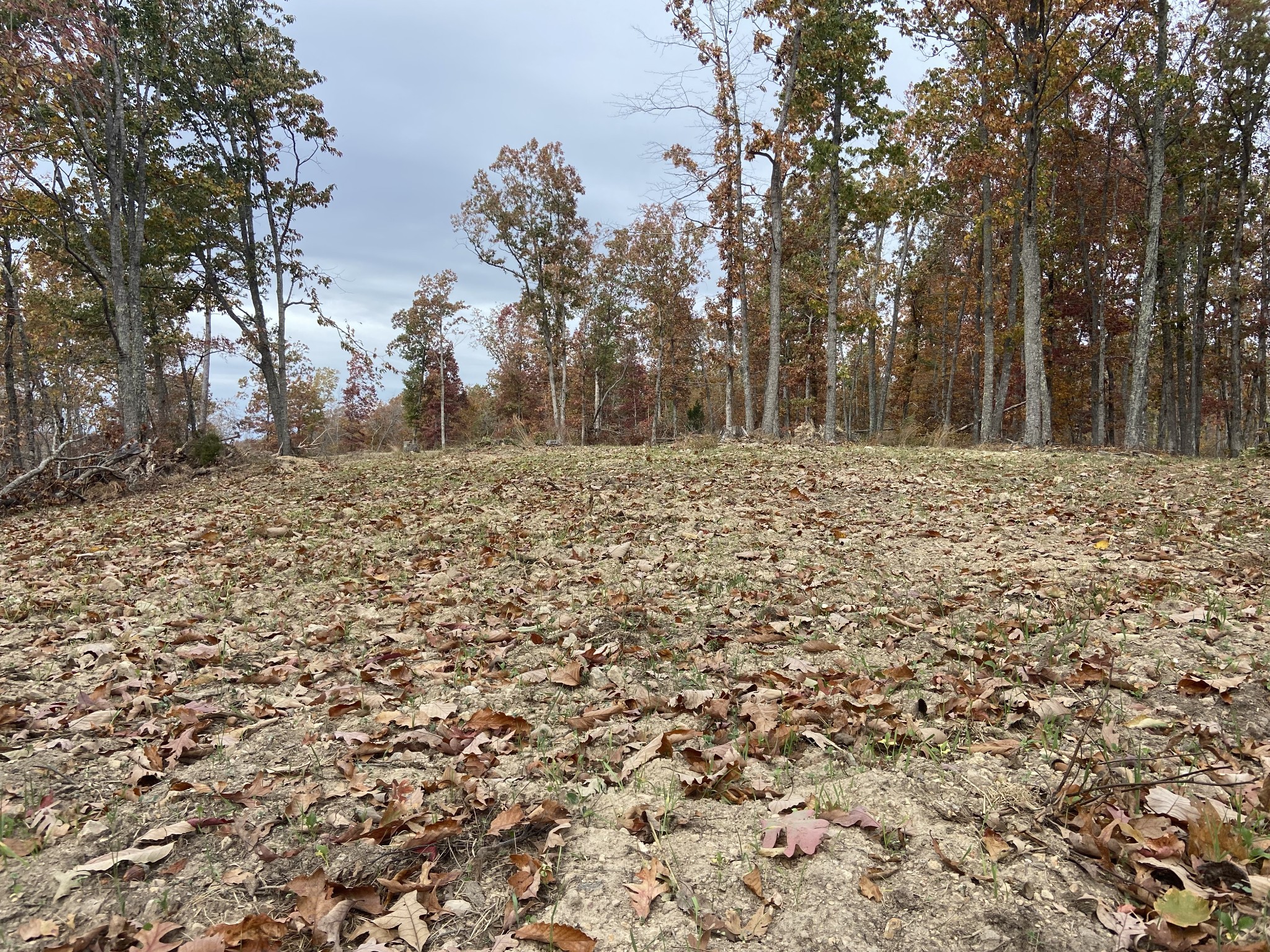 0 McCord Hollow Road Hohenwald, TN 38462 - Photo 22 of 33 Gallery Image 22