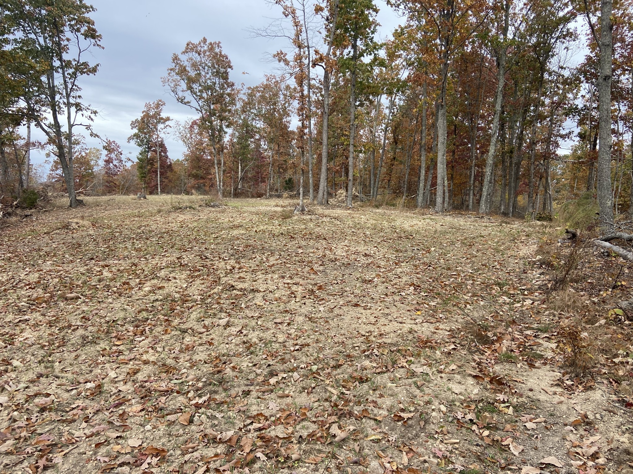 0 McCord Hollow Road Hohenwald, TN 38462 - Photo 24 of 33 Gallery Image 24