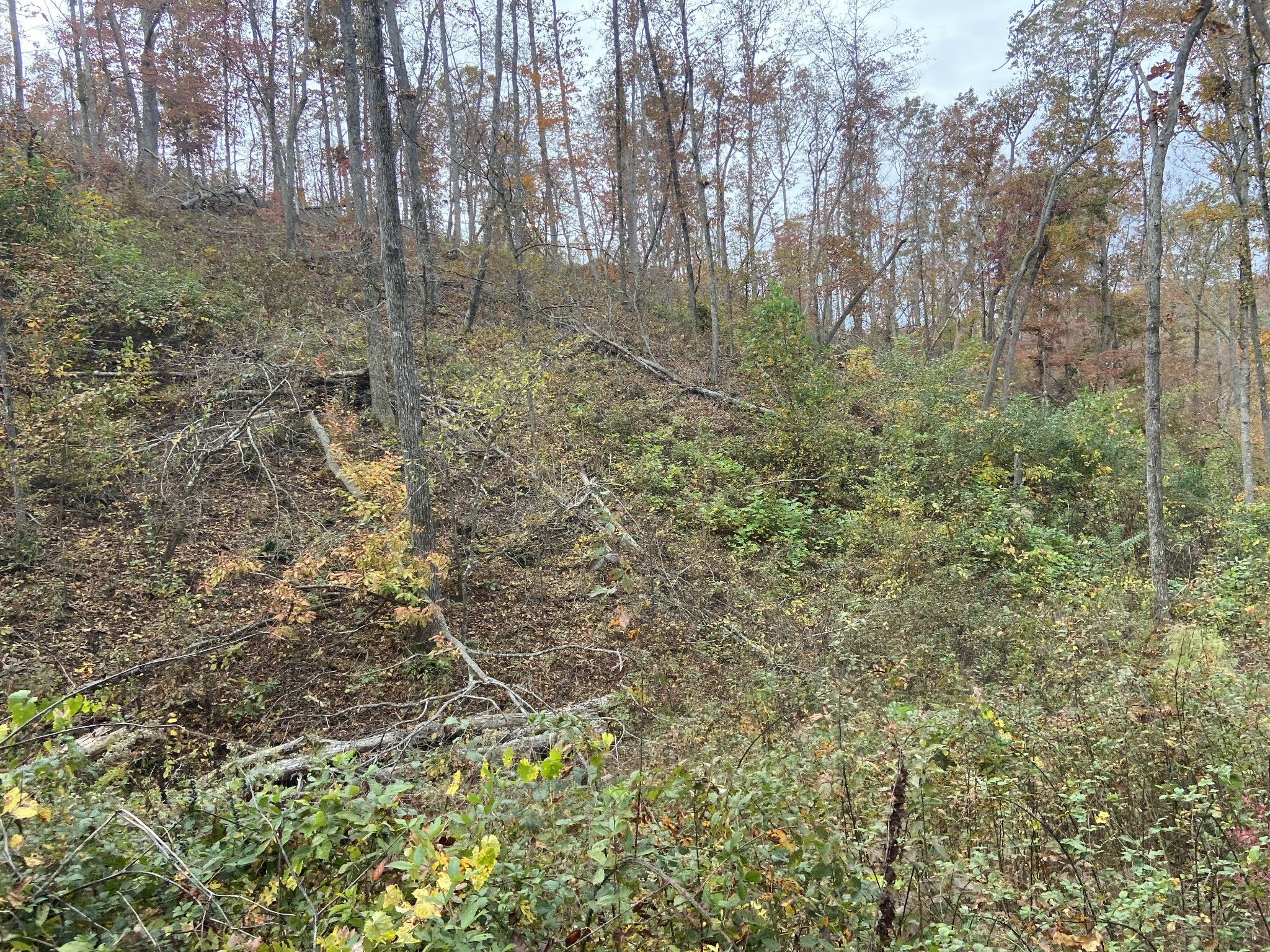0 McCord Hollow Road Hohenwald, TN 38462 - Photo 27 of 33 Gallery Image 27