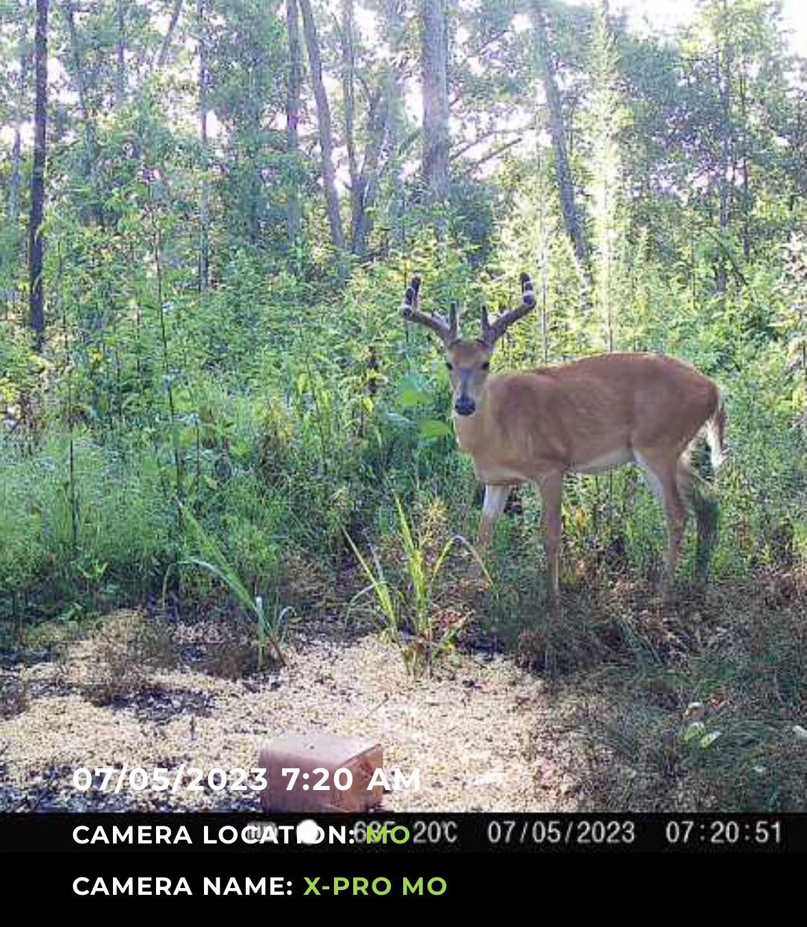 0 McCord Hollow Road Hohenwald, TN 38462 - Photo 33 of 33 Gallery Image 33