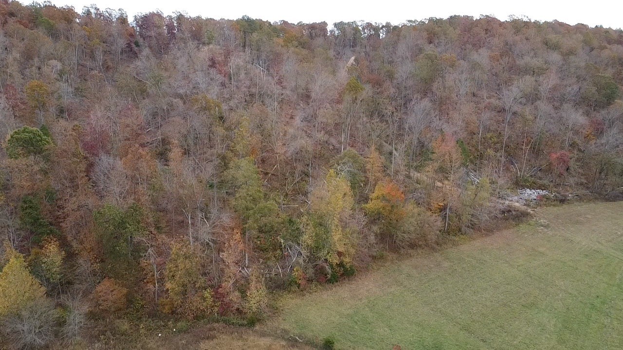 0 McCord Hollow Road Hohenwald, TN 38462 - Photo 9 of 33 Gallery Image 9